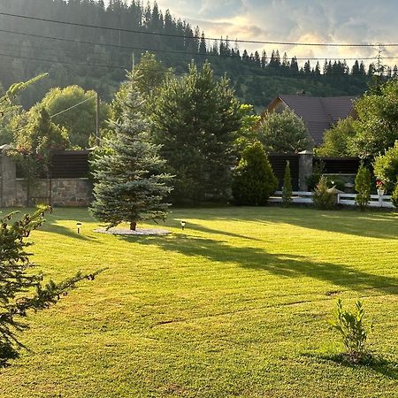 Краєвид Slavske Esterno foto