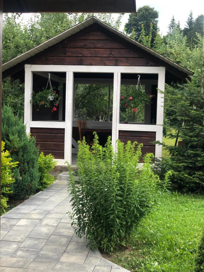 Краєвид Slavske Esterno foto