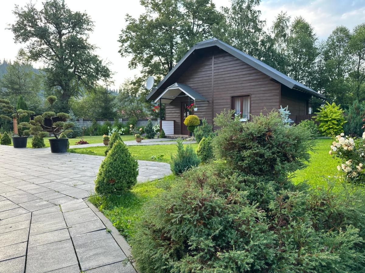 Краєвид Slavske Esterno foto